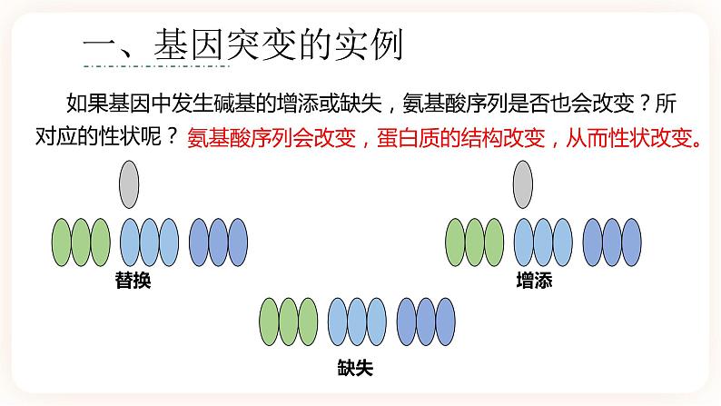 5.1 基因突变和基因重组 课件+素材08