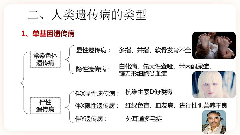 5.3 人类遗传病  课件07