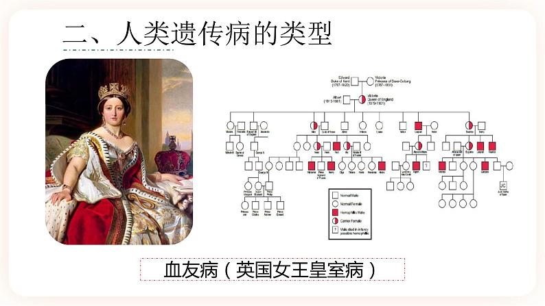 5.3 人类遗传病  课件08