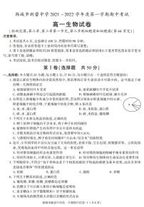 陕西省渭南市韩城市新蕾中学2021-2022学年高一上学期期中考试生物试卷