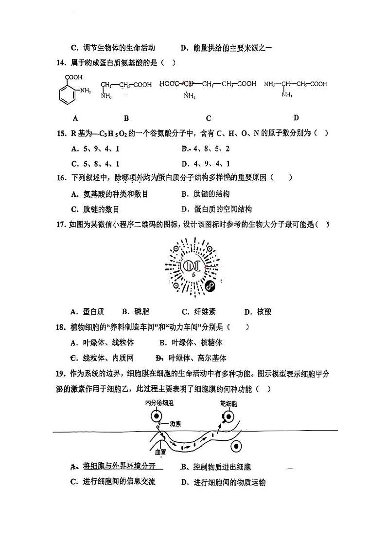 广东省惠州市综合高级中学2022-2023学年高一上学期期中考试生物试题03