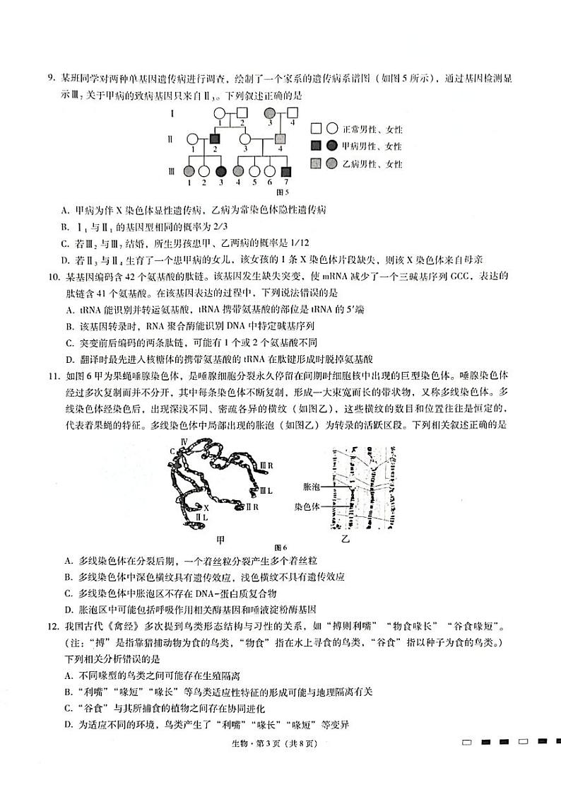 重庆市第八中学2023届高考适应性月考卷（四）生物试卷第3页