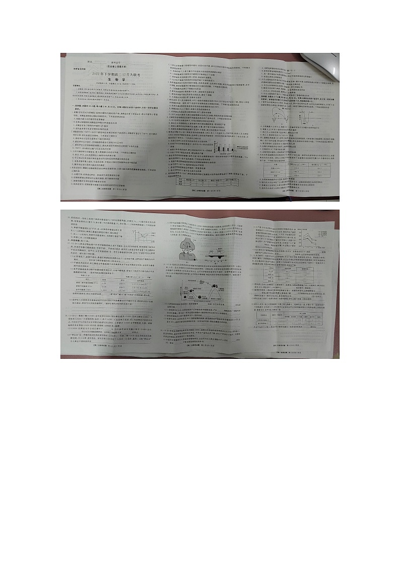 2023湖南省高二上学期12月联考生物试题图片版含解析01
