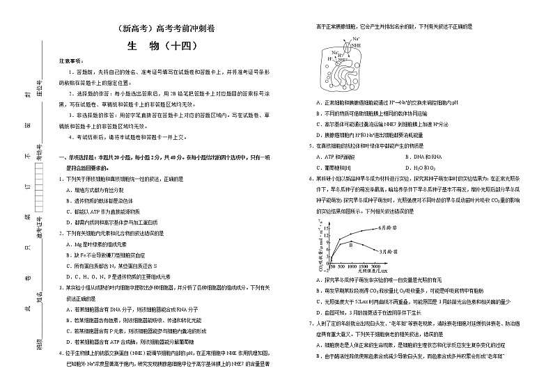 （新高考）高考考前冲刺卷生物（十四）(原卷版)第1页