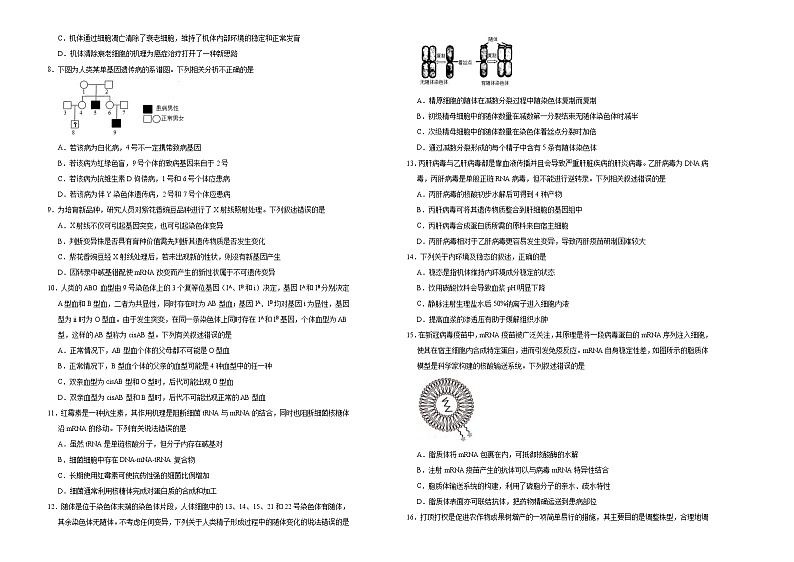 （新高考）高考考前冲刺卷生物（十四）(原卷版)第2页