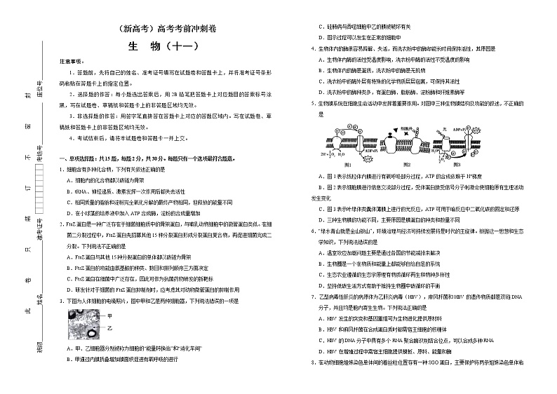 （新高考）高考考前冲刺卷生物（十一）(原卷版)第1页