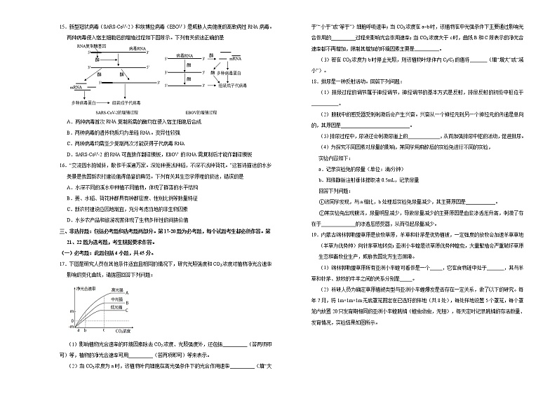 （新高考）高考考前冲刺卷生物（四）(2份打包，解析版+原卷版，可预览)03