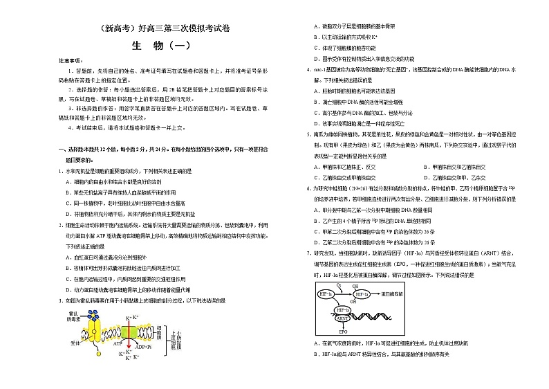 （新高考）高考生物第三次模拟考试卷生物卷（一） (2份打包，解析版+原卷版，可预览)01