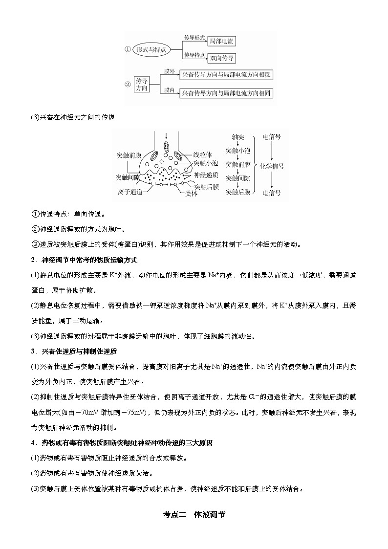 （新高考）高考生物二轮精品专题九神经调节、体液调节(解析版)第2页