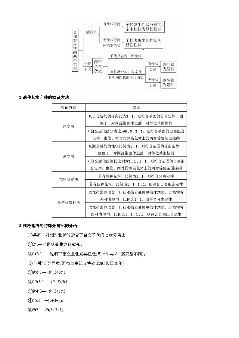 （新高考）高考生物二轮精品专题六遗传的基本规律和人类遗传病(解析版)第2页