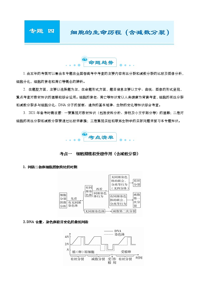（新高考）高考生物二轮精品专题四细胞的生命历程（含减数分裂）(解析版)第1页