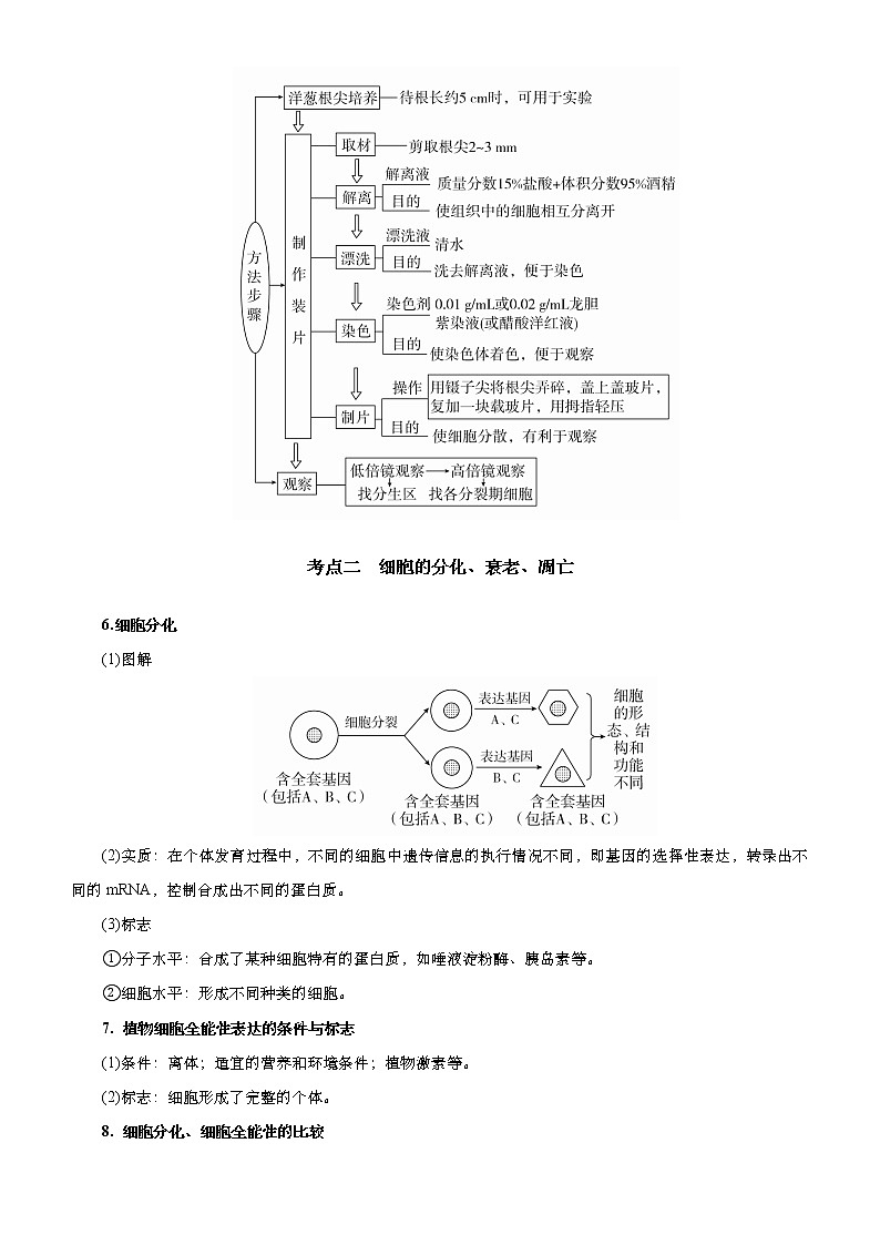 （新高考）高考生物二轮精品专题四细胞的生命历程（含减数分裂）(解析版)第3页