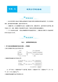 （新高考）高考生物二轮精品专题五遗传分子的基础(2份打包，解析版+原卷版，可预览)