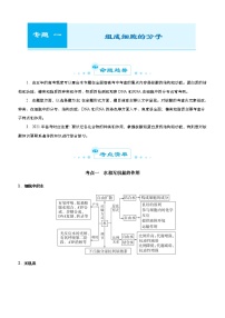 （新高考）高考生物二轮精品专题一组成细胞的分子(2份打包，解析版+原卷版，可预览)