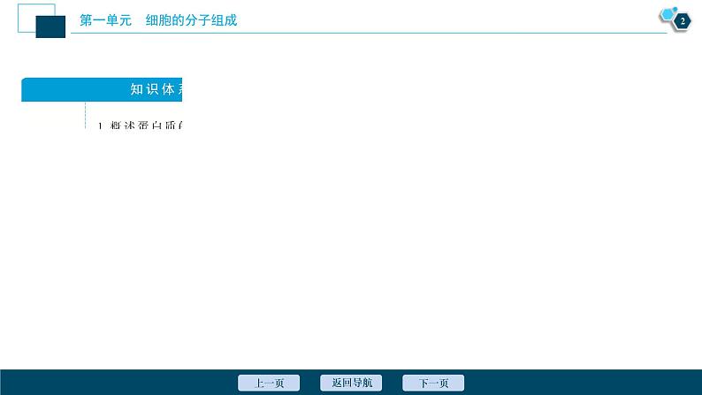 (新高考)高考生物一轮复习讲义课件第2讲蛋白质和核酸 (含解析)第3页
