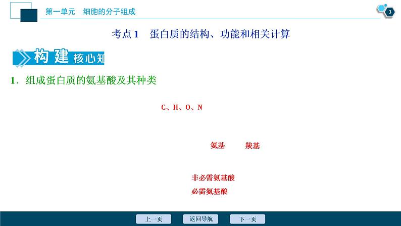 (新高考)高考生物一轮复习讲义课件第2讲蛋白质和核酸 (含解析)第4页