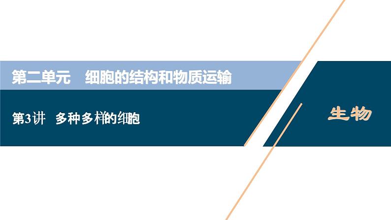 (新高考)高考生物一轮复习讲义课件第3讲多种多样的细胞 (含解析)01