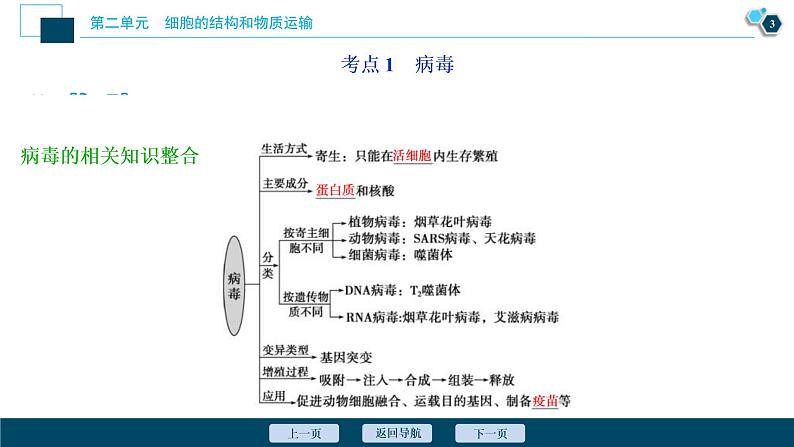 (新高考)高考生物一轮复习讲义课件第3讲多种多样的细胞 (含解析)04