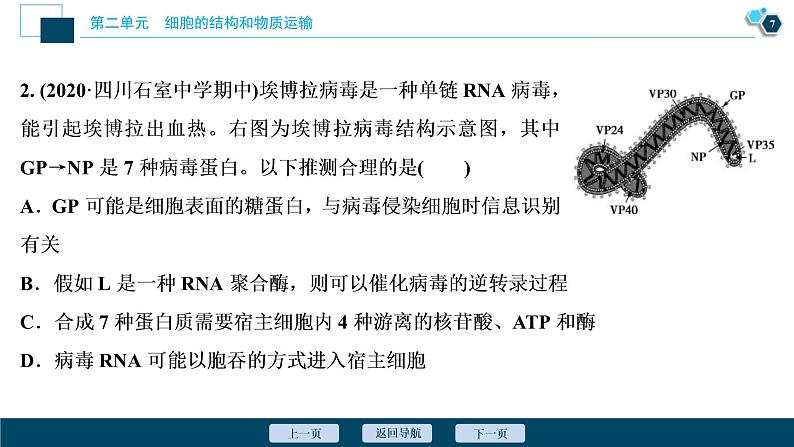 (新高考)高考生物一轮复习讲义课件第3讲多种多样的细胞 (含解析)08