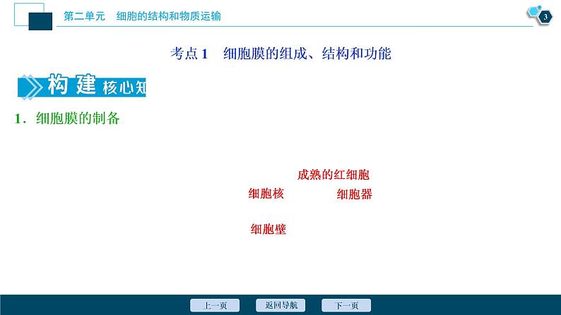 (新高考)高考生物一轮复习讲义课件第4讲细胞膜和细胞核 (含解析)04