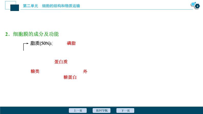 (新高考)高考生物一轮复习讲义课件第4讲细胞膜和细胞核 (含解析)05