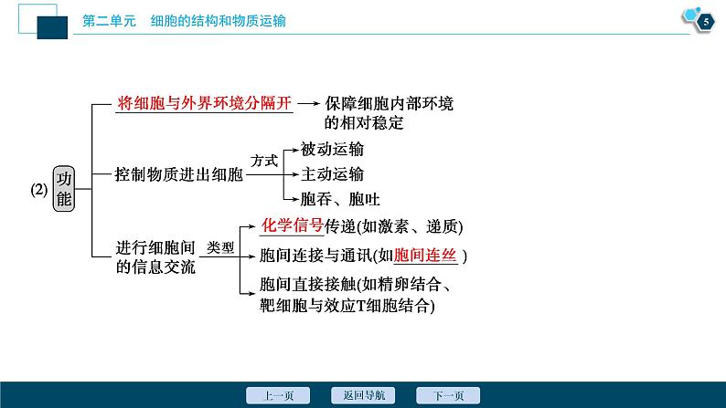 (新高考)高考生物一轮复习讲义课件第4讲细胞膜和细胞核 (含解析)06