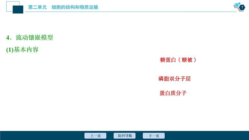 (新高考)高考生物一轮复习讲义课件第4讲细胞膜和细胞核 (含解析)08