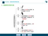 (新高考)高考生物一轮复习讲义课件第5讲细胞器与生物膜系统 (含解析)