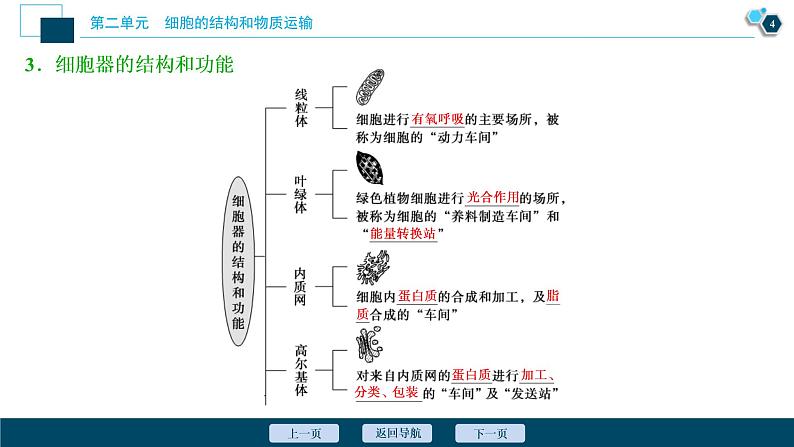 (新高考)高考生物一轮复习讲义课件第5讲细胞器与生物膜系统 (含解析)第5页