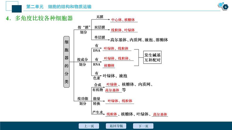 (新高考)高考生物一轮复习讲义课件第5讲细胞器与生物膜系统 (含解析)第7页