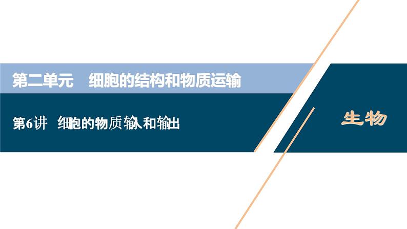 (新高考)高考生物一轮复习讲义课件第6讲细胞的物质输入和输出 (含解析)第1页