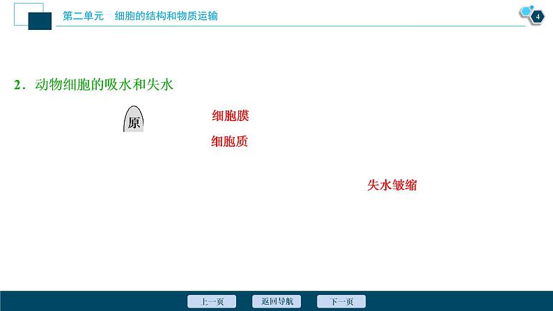 (新高考)高考生物一轮复习讲义课件第6讲细胞的物质输入和输出 (含解析)第5页