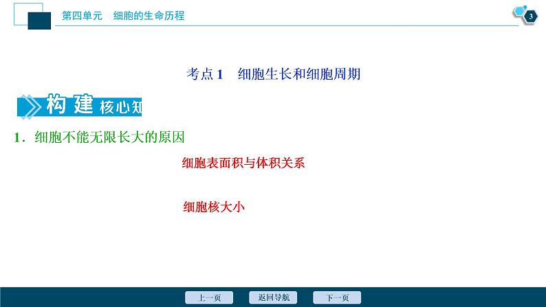 (新高考)高考生物一轮复习讲义课件第10讲细胞的增殖 (含解析)04
