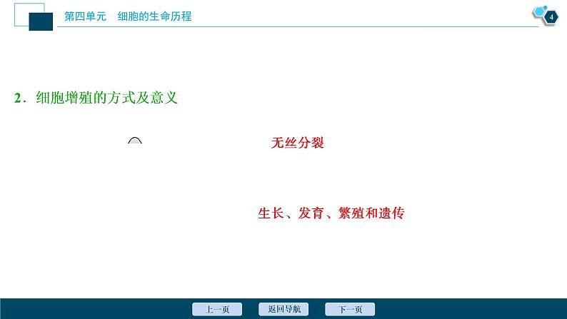 (新高考)高考生物一轮复习讲义课件第10讲细胞的增殖 (含解析)05