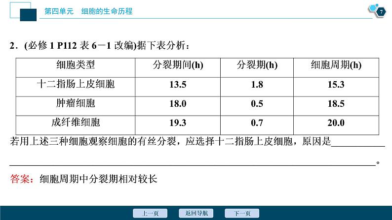 (新高考)高考生物一轮复习讲义课件第10讲细胞的增殖 (含解析)08