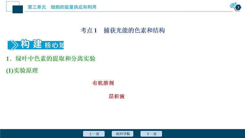 (新高考)高考生物一轮复习讲义课件第9讲能量之源——光与光合作用 (含解析)第4页