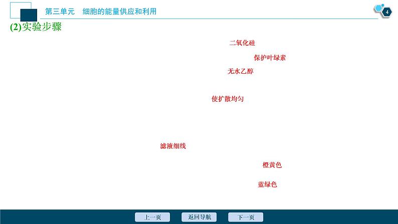 (新高考)高考生物一轮复习讲义课件第9讲能量之源——光与光合作用 (含解析)第5页