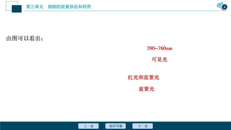 (新高考)高考生物一轮复习讲义课件第9讲能量之源——光与光合作用 (含解析)第7页