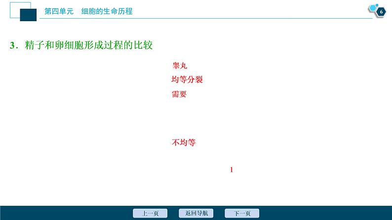 (新高考)高考生物一轮复习讲义课件第11讲减数分裂及受精作用 (含解析)第7页