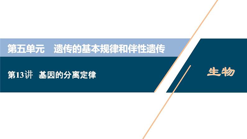 (新高考)高考生物一轮复习讲义课件第13讲基因的分离定律 (含解析)第1页