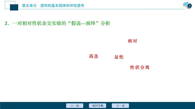 (新高考)高考生物一轮复习讲义课件第13讲基因的分离定律 (含解析)第5页