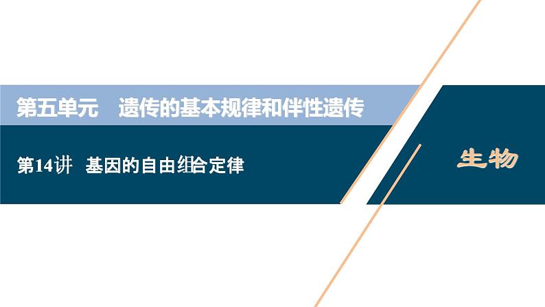 (新高考)高考生物一轮复习讲义课件第14讲基因的自由组合定律 (含解析)第1页