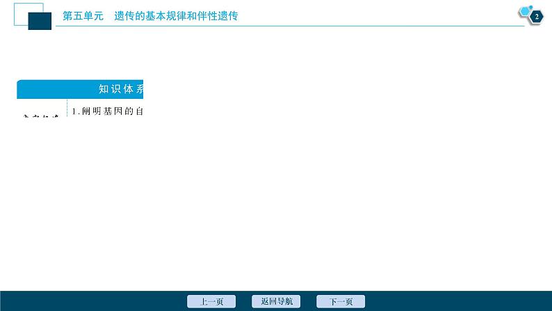 (新高考)高考生物一轮复习讲义课件第14讲基因的自由组合定律 (含解析)第3页