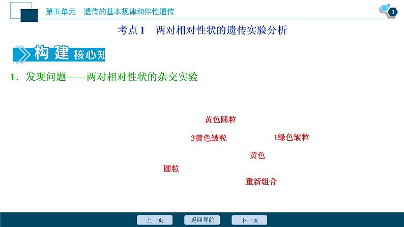 (新高考)高考生物一轮复习讲义课件第14讲基因的自由组合定律 (含解析)第4页