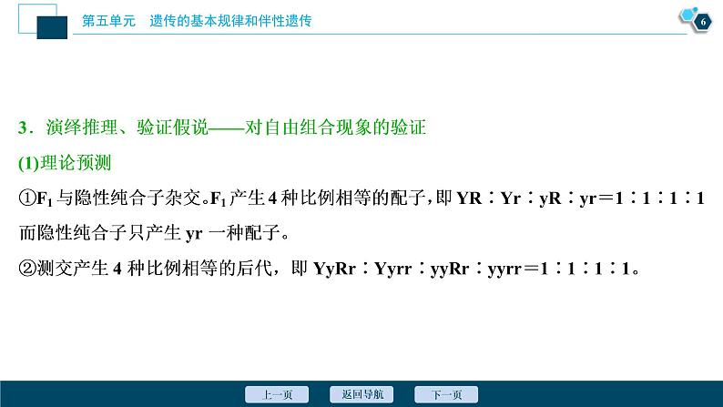 (新高考)高考生物一轮复习讲义课件第14讲基因的自由组合定律 (含解析)第7页