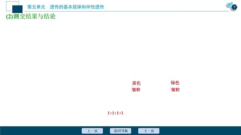 (新高考)高考生物一轮复习讲义课件第14讲基因的自由组合定律 (含解析)第8页