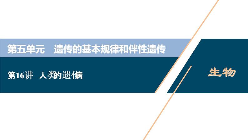 (新高考)高考生物一轮复习讲义课件第16讲人类的遗传病 (含解析)第1页