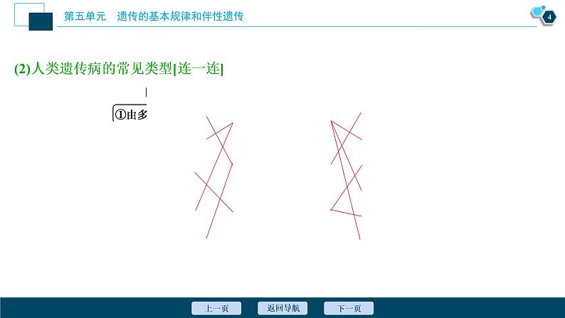 (新高考)高考生物一轮复习讲义课件第16讲人类的遗传病 (含解析)第5页