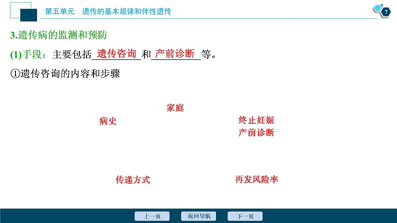 (新高考)高考生物一轮复习讲义课件第16讲人类的遗传病 (含解析)第8页