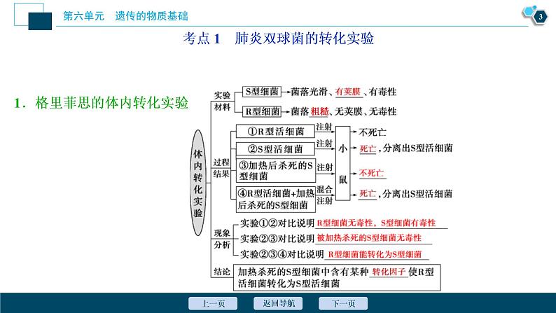 (新高考)高考生物一轮复习讲义课件第17讲DNA是主要的遗传物质 (含解析)第4页